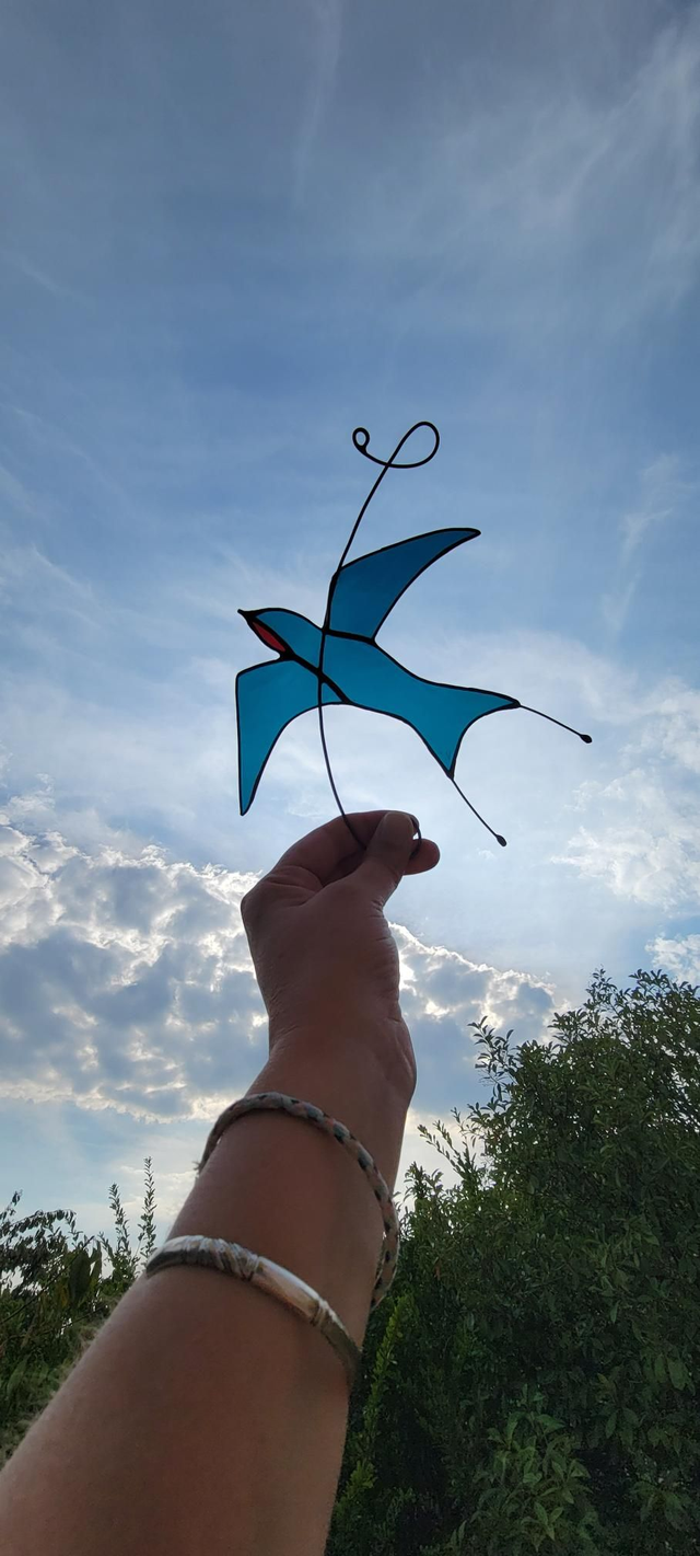 L’hirondelle rustique 