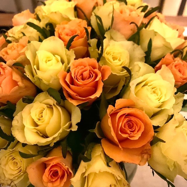 Engagement 8 sessions