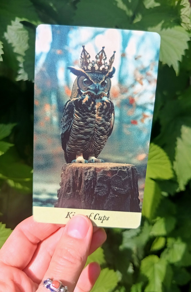 Bird King Tarot: a deck with a post-apocalyptic mystical vibe * by Lida Pavlova & Khvost