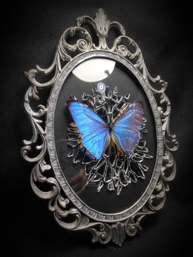 Cadre Vintage Morpho Miroir Brisé 