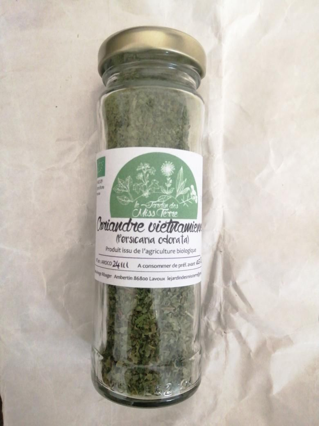 Coriandre vietnamienne 