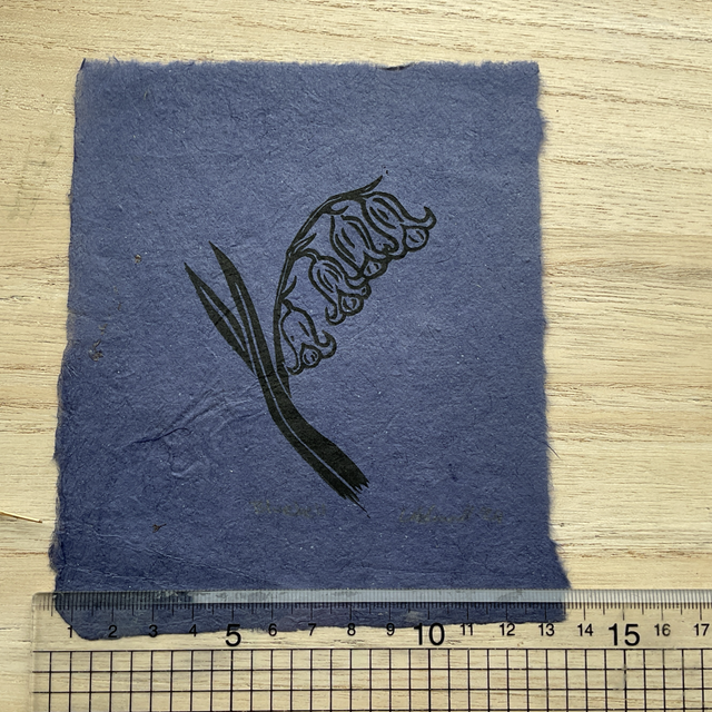 Bluebell mini prints on Khandi paper