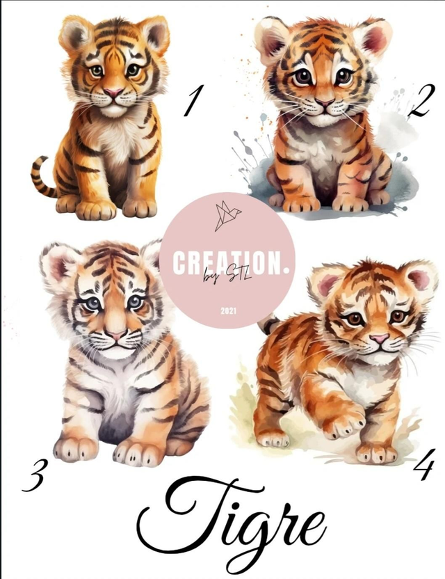 Tigre