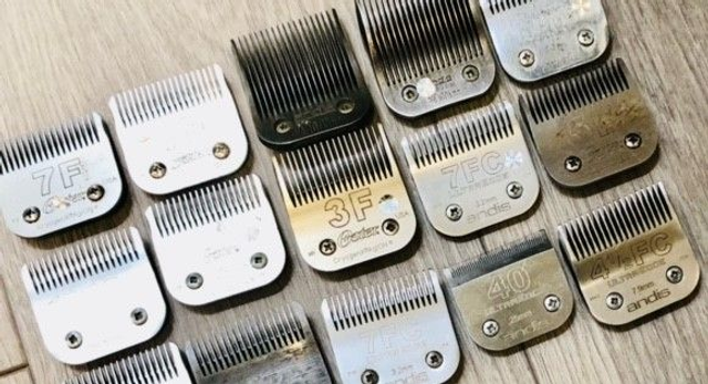 A5 Standard Grooming Blade Sharpening