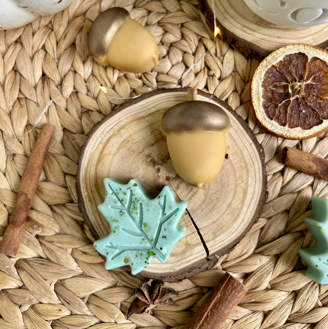 Fondants Balade en forêt 