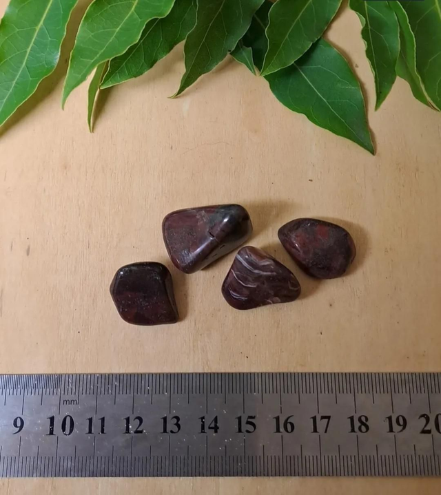 STROMATOLITE TUMBLESTONE 