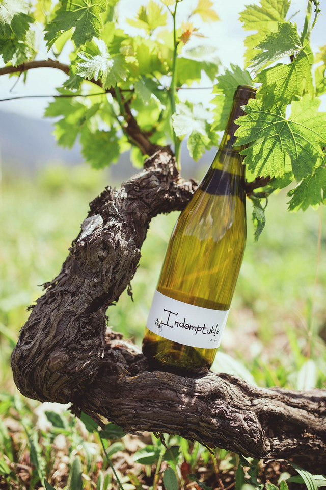 Indomptable 2022 - 75 cl