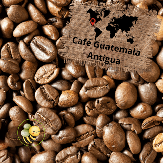 Café Premium Guatemala Antigua