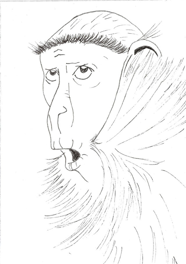 Carte &quot;Finis Moi!&quot; -Le Cercopithèque de Rolloway