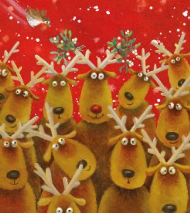 XCB 11 Pack of 8 Charity Cards - Reindeer and Mistletoe