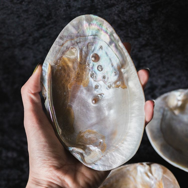 Mother of Pearl Shell M2