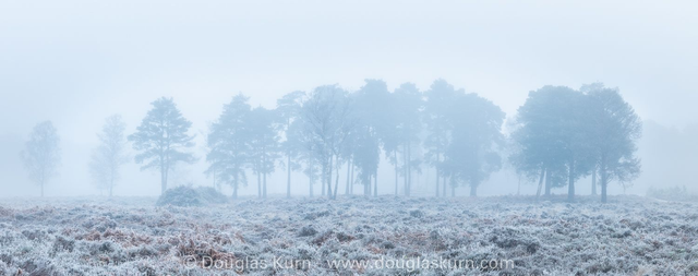 Veil Of Serenity - Panorama