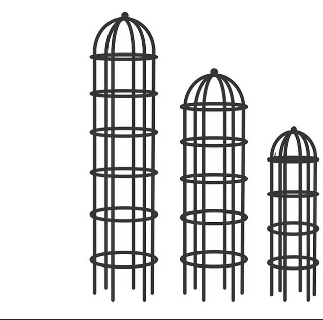 Closed Top Rose Cage
