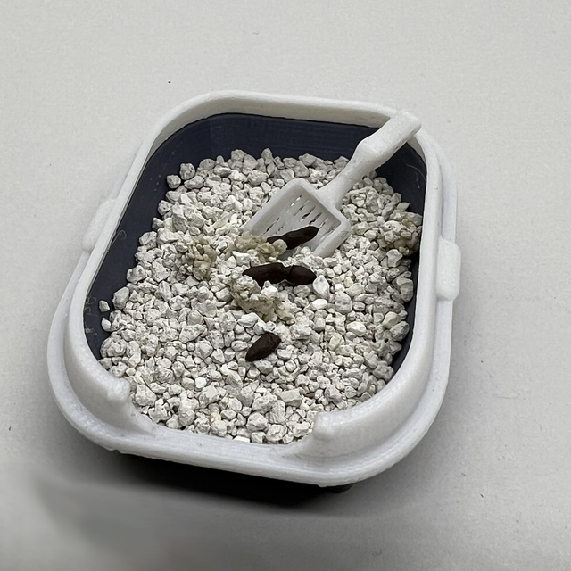 Kissanhiekkalaatikko