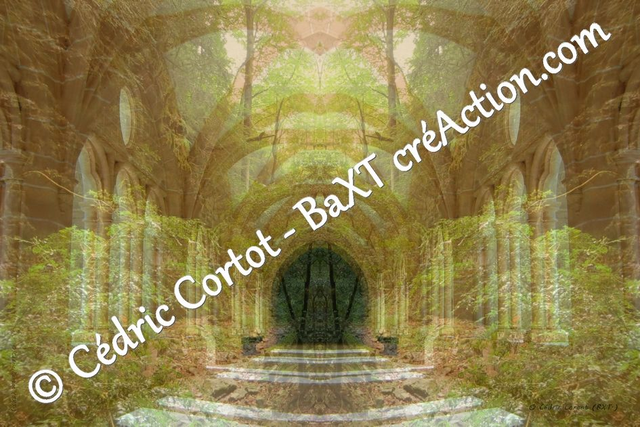 Impression sur alu dibond - Entre réel et irréel (ref 3683 1-3 - IMG_3717-1)