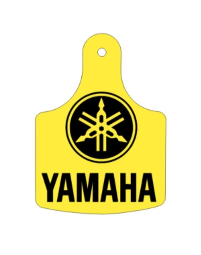 Yamaha key ring