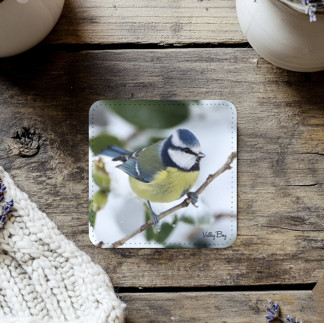 “Beatrice in the Snow” Coaster 