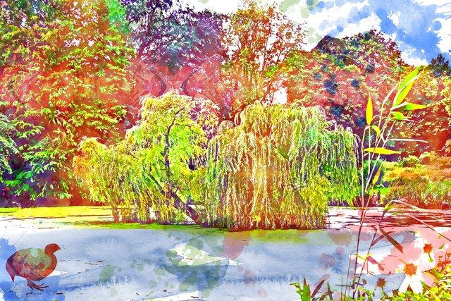 Schlossgarten, illustriert
