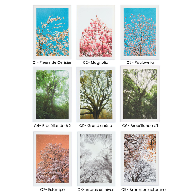 Lot de cartes doubles : 10 ou 20 cartes