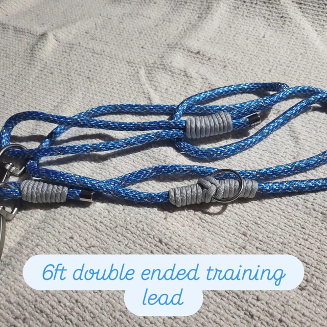 6ft blue/silver grey training lead