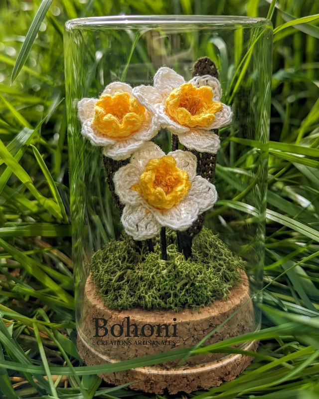 Mini terra JONQUILLES