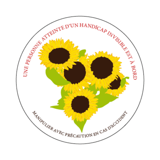 Stickers pour voiture Handicap Invisible