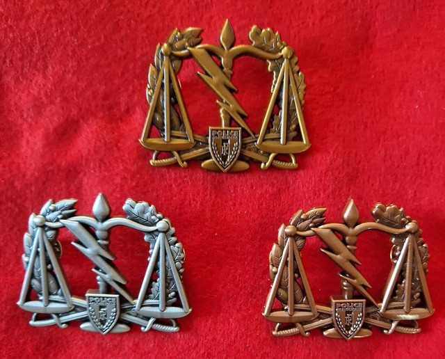 Insigne métallique IPEPM