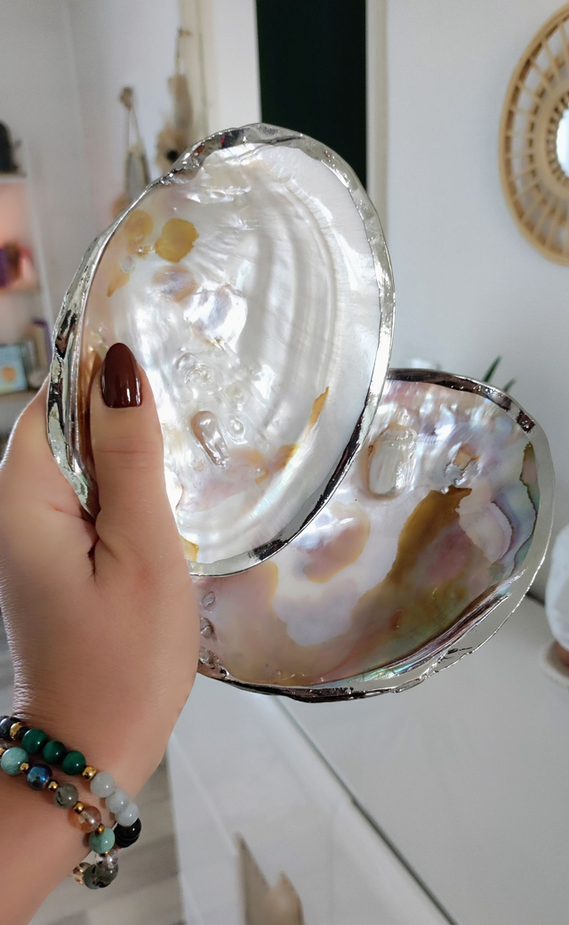 Coquille d'huître perlière argenté