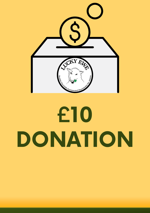 £10 Donation