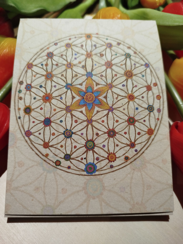  Calepin &quot;Graine Sacrée&quot;