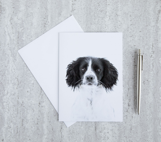 Black &amp; White Blank Card