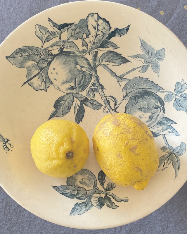 Compotier Terre de Fer