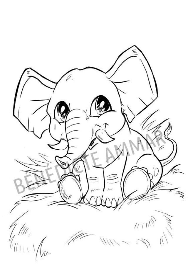 Livre de coloriages "Drôles d'animaux 2"