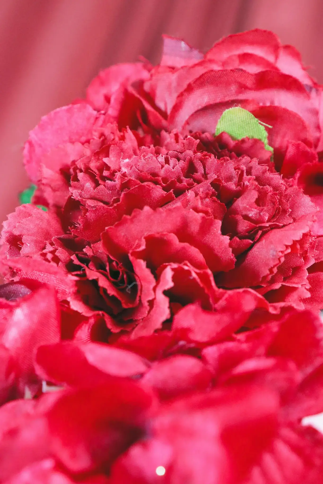 Hair flowers • Red waterfall