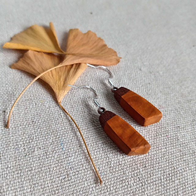 Boucles d&#039;oreilles