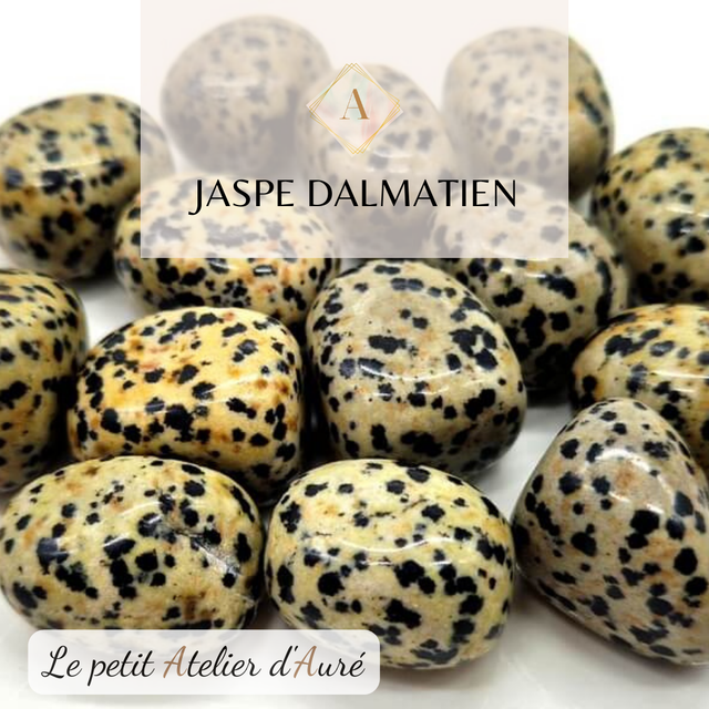 Jaspe Dalmatien