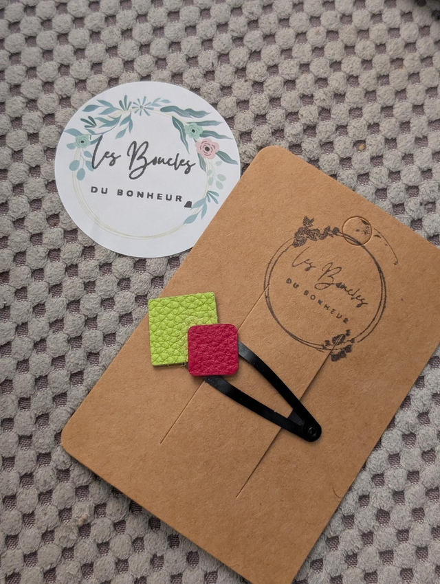 Barrette b045
