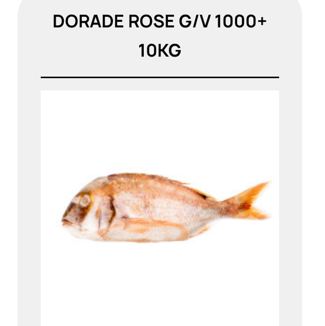 Dorade rouge 