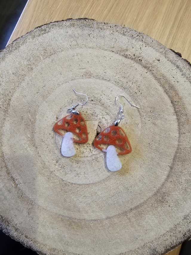 Champignons orange et blanc