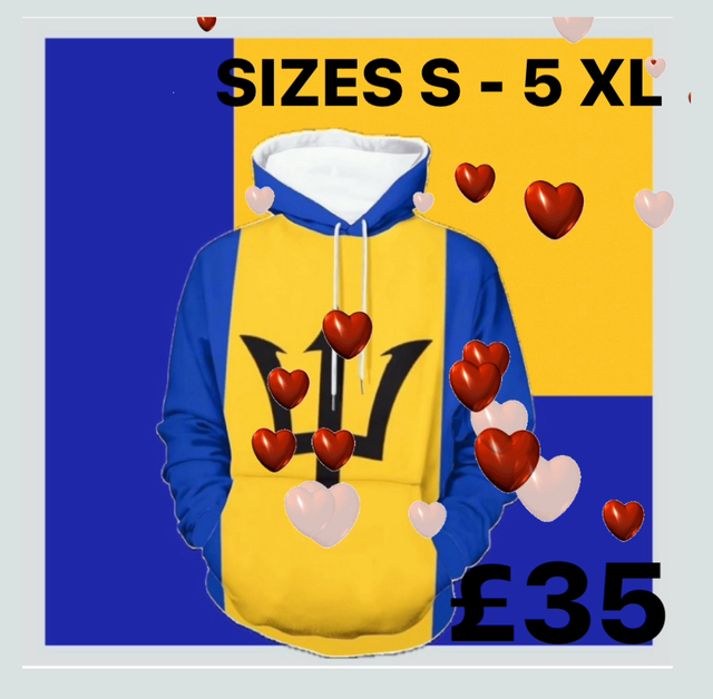 🇧🇧BIM KD COLLECTION PULLOVER HOODIE