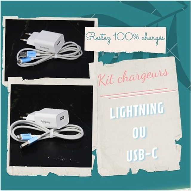 chargeur lightning ( iphone )