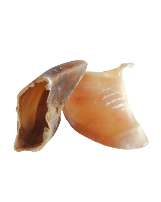 Sabot de veau