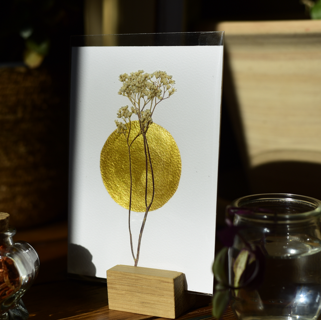 carte postale • fleur sauvage