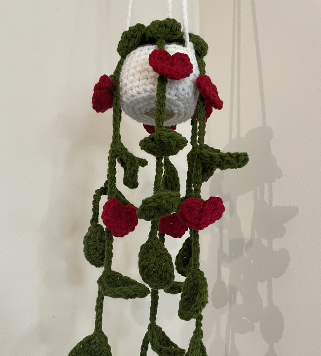 Valentines Hanging plants