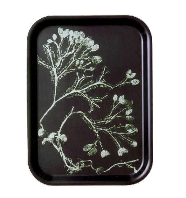 Tablett eckig Seetang schwarz/grün