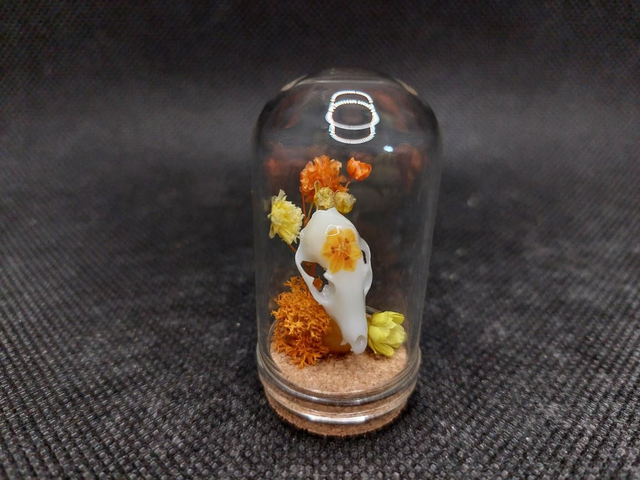 Mini-cloche crâne de renard orange