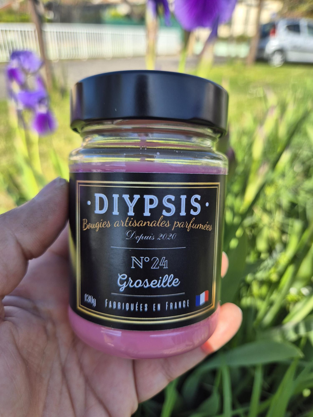24. Groseille 