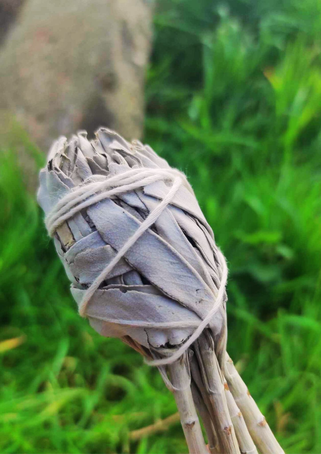 Encens sauge blanche tulipe