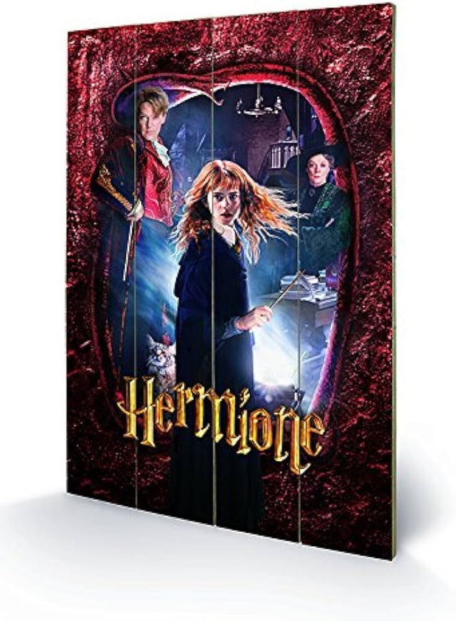 Grand tableau imprimé sur bois Hermione Granger - Harry Potter