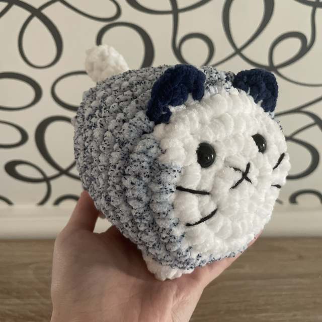 Chat boule bleu